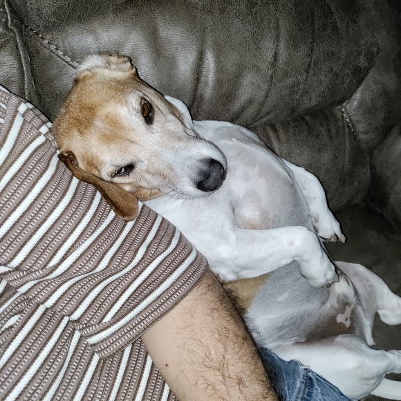 Meet your Posher, David - Picture 3 of 4